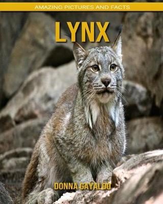 Book cover for Lynx