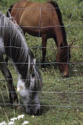 Cover of Journal Grazing Horses Equine