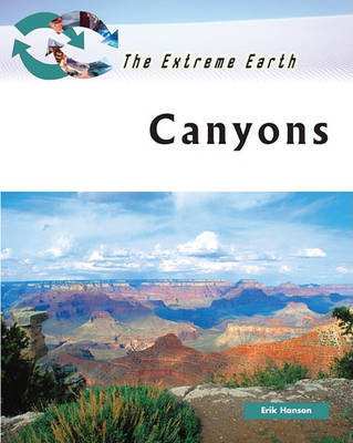 Book cover for Canyons