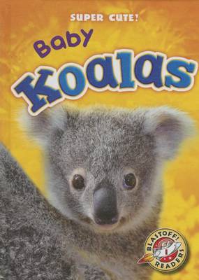 Book cover for Baby Koalas