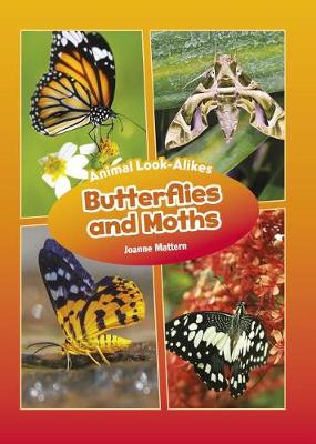 Cover of Butterflies and Moths