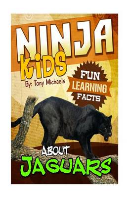 Book cover for Fun Learning Facts about Jaguars