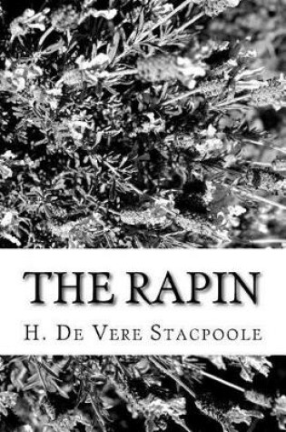 Cover of The Rapin