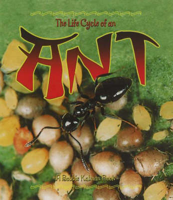 Book cover for The Life Cycle of an Ant