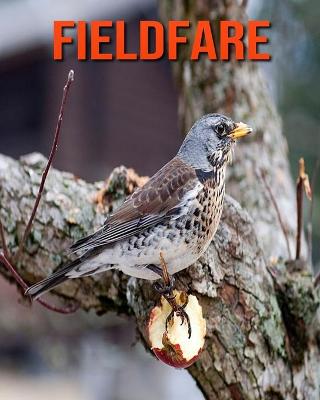 Book cover for Fieldfare