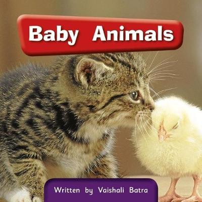 Book cover for Springboard Connect 3e Baby Animals