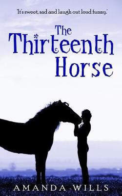 Book cover for The Thirteenth Horse