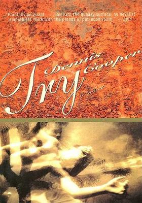 Cover of Try