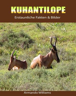 Book cover for Kuhantilope