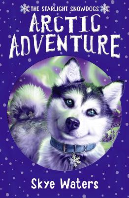 Cover of Arctic Adventure