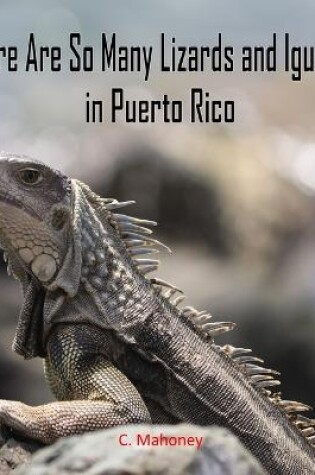 Cover of There Are So Many Lizards and Iguanas in Puerto Rico