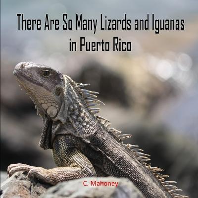 Book cover for There Are So Many Lizards and Iguanas in Puerto Rico