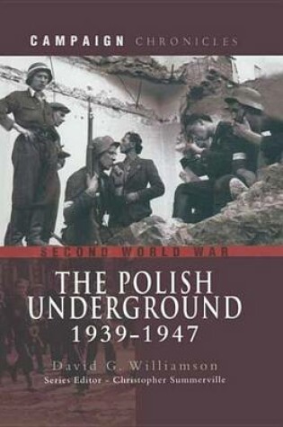 Cover of The Polish Underground, 1939-1947