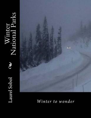 Book cover for Winter National Parks