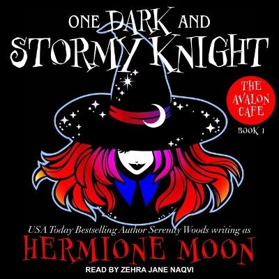 Book cover for One Dark and Stormy Knight