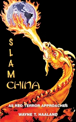 Book cover for Slam China