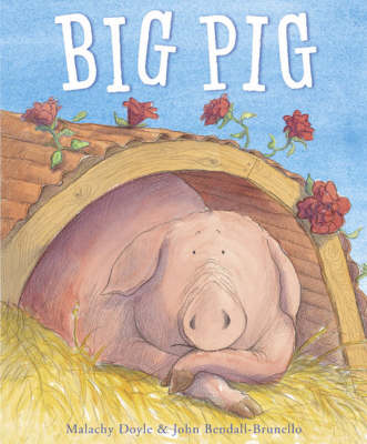 Book cover for Big Pig