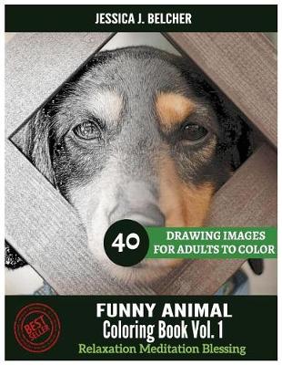 Cover of FUNNY ANIMAL Coloring book for Adults Relaxation Vol.1 Meditation Blessing