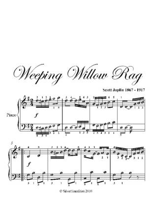 Book cover for Weeping Willow Rag Easy Piano Sheet Music