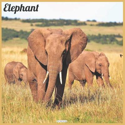 Book cover for Elephant 2021 Wall Calendar