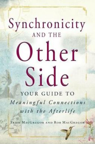 Cover of Synchronicity and the Other Side