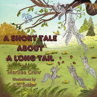 Book cover for A Short Tale about a Long Tail