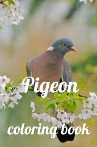 Cover of Pigeon coloring book