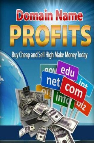 Cover of Domain Name Profits