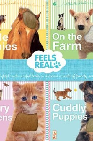 Cover of Feels Real!: Gift Set