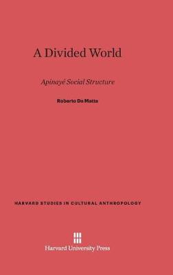 Book cover for A Divided World