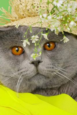 Book cover for British Blue Shorthair in a Hat (for the Love of Cats)