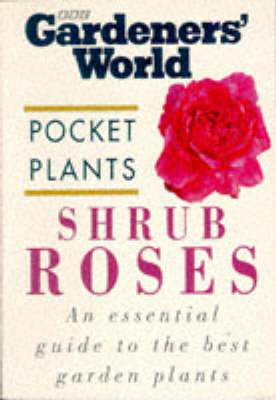 Book cover for Shrub Roses