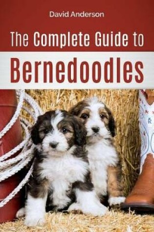 Cover of The Complete Guide to Bernedoodles