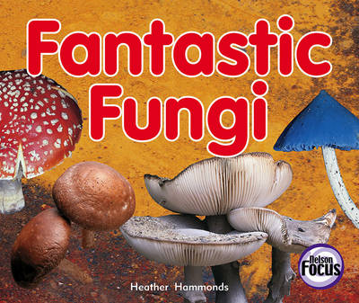 Book cover for Fantastic Fungi