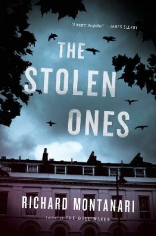 Cover of The Stolen Ones