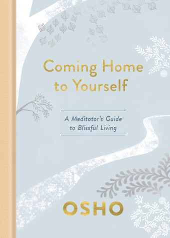 Book cover for Coming Home to Yourself