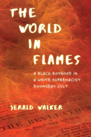 Cover of The World in Flames