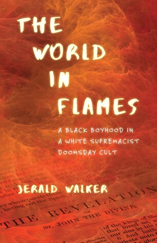 Book cover for The World in Flames