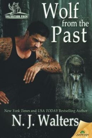 Cover of Wolf from the Past