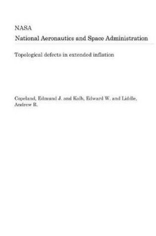 Cover of Topological Defects in Extended Inflation