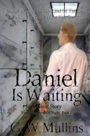 Cover of Daniel Is Waiting a Ghost Story Revised 2nd Edition
