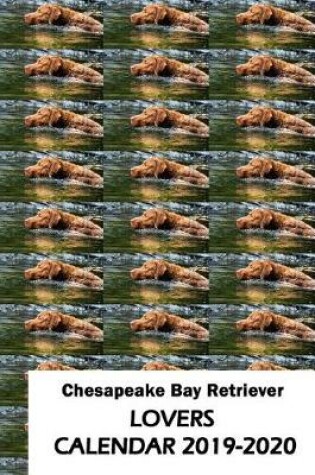 Cover of Chesapeake Bay Retriever Lovers Calendar 2019-2020