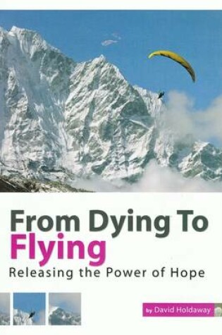 Cover of From Dying to Flying