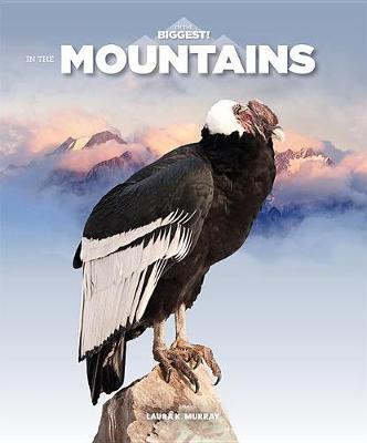Cover of In the Mountains
