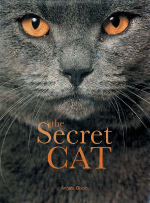 Book cover for The Secret Cat