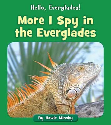 Cover of More I Spy in the Everglades