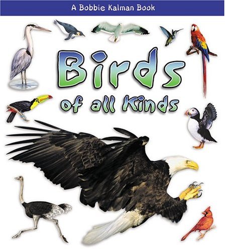 Book cover for Birds of All Kinds
