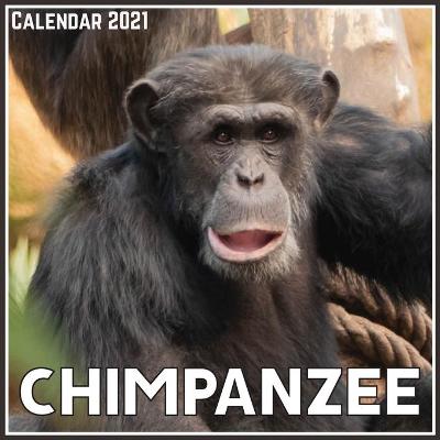 Book cover for Chimpanzee Calendar 2021