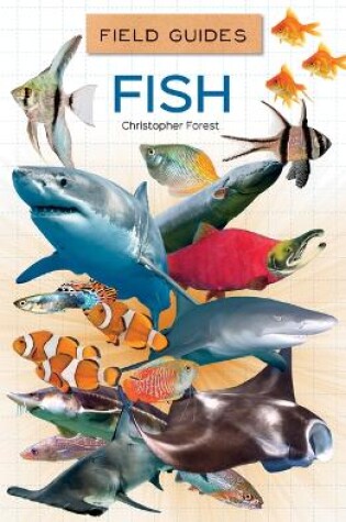 Cover of Fish