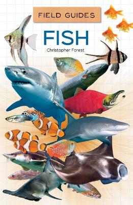 Cover of Fish